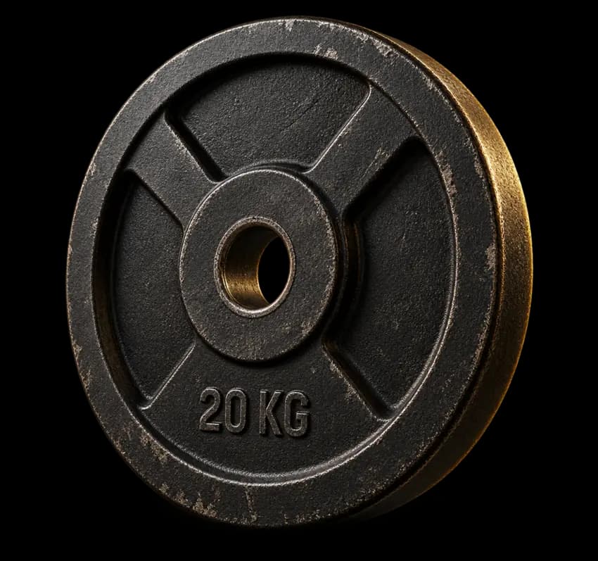 Disque de fonte noir de 20 kg pour la musculation et le fitness