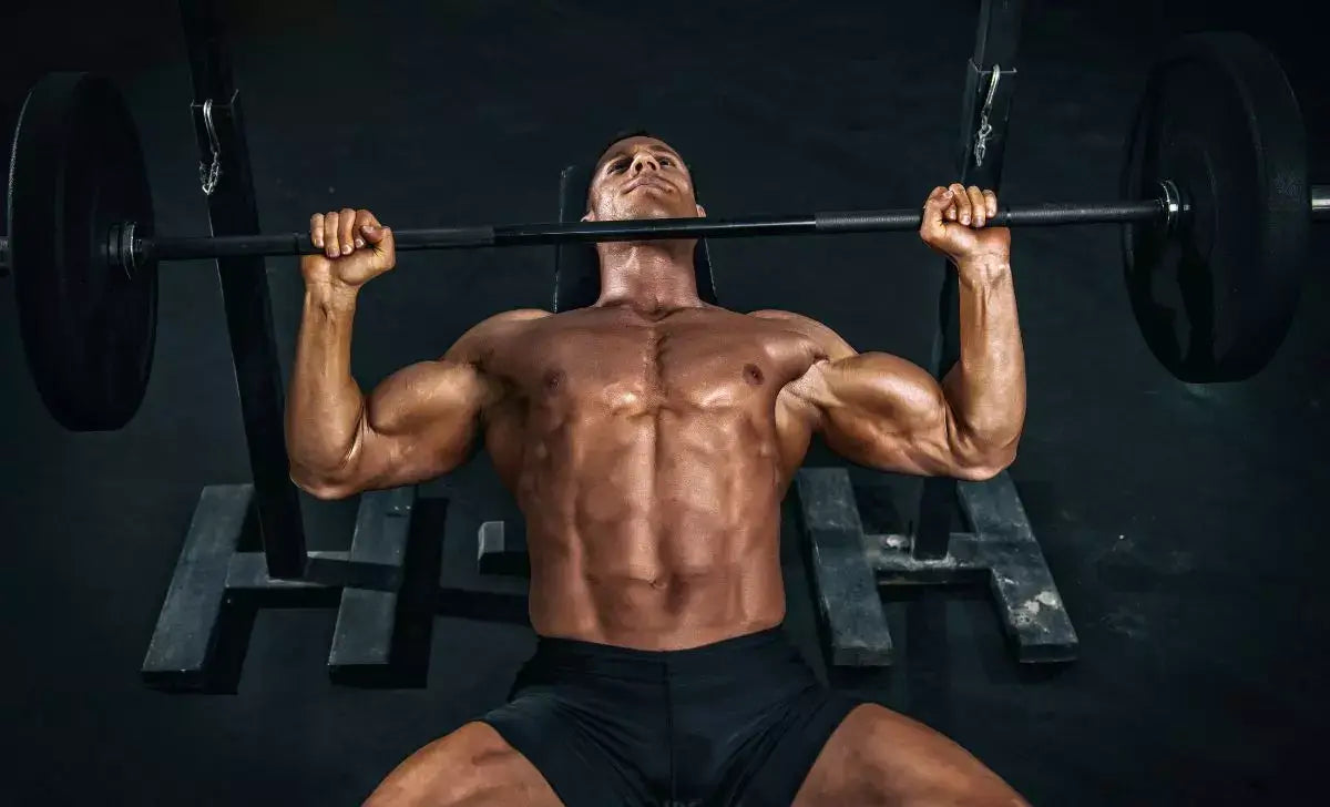 Développé couché incliné à la barre pour musculation des pectoraux supérieurs