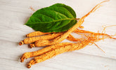 Racine de ginseng, plante médicinale utilisée pour booster l'énergie et améliorer la musculation
