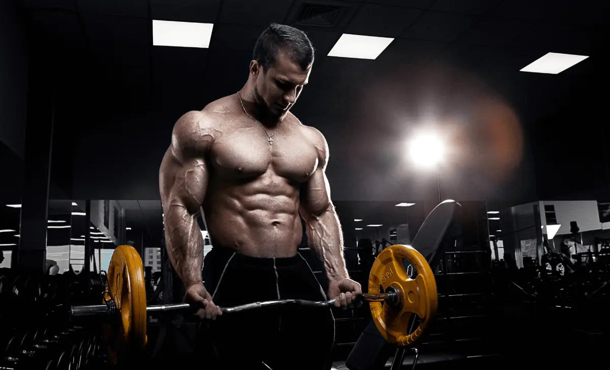 Renforcement Musculaire: Devenez votre meilleure version