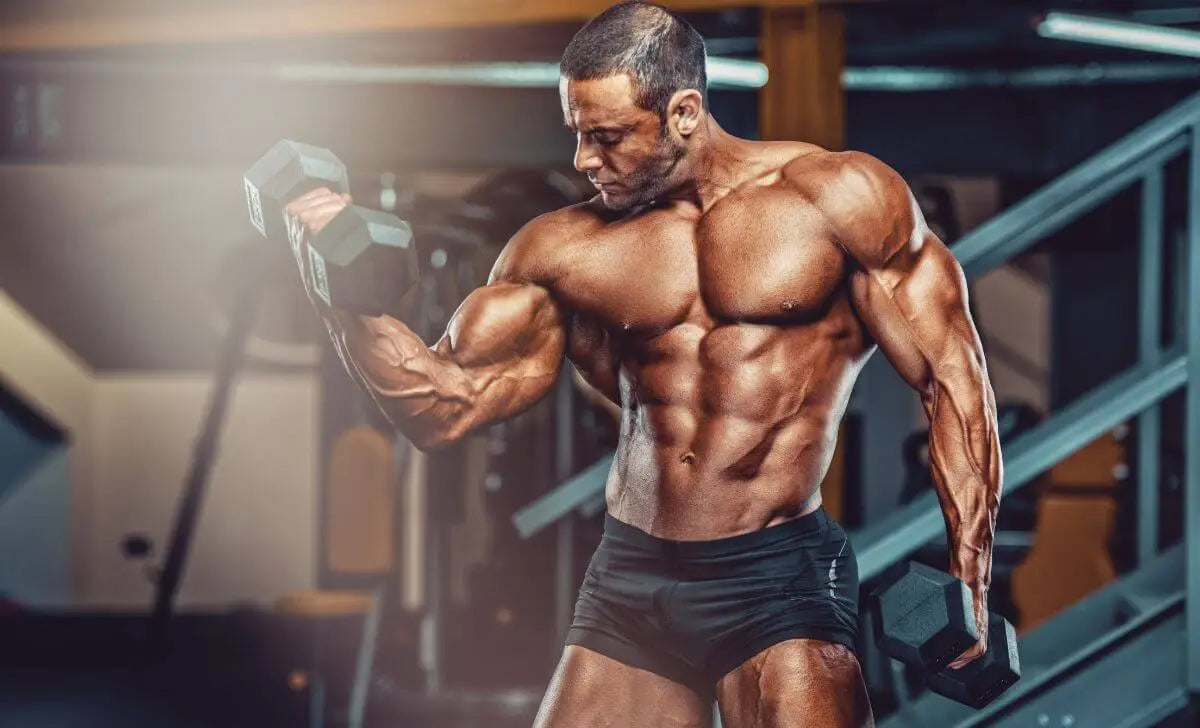 Suppléments Pré-Entraînement : Guide pour Sportifs