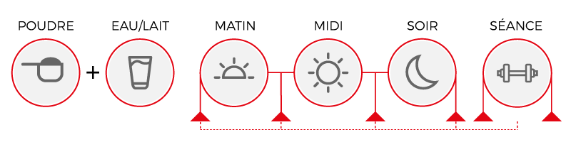 Schéma de prise quotidienne du ICO GEN PHASE 8 - First Iron Systems : Mélanger 30 g avec 250 ml d'eau ou lait. À consommer au petit-déjeuner, en collation, avant ou après l'entraînement, ou avant le coucher.