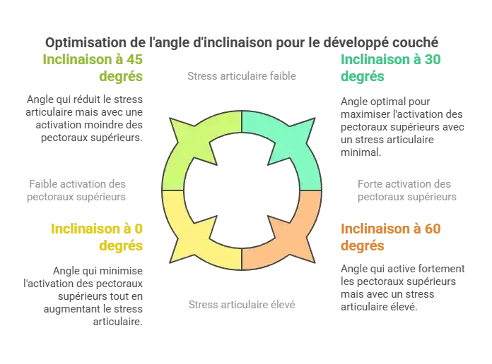 Illustration des différences entre développé incliné à 30 et 45 degrés avec barre ou haltères en musculation