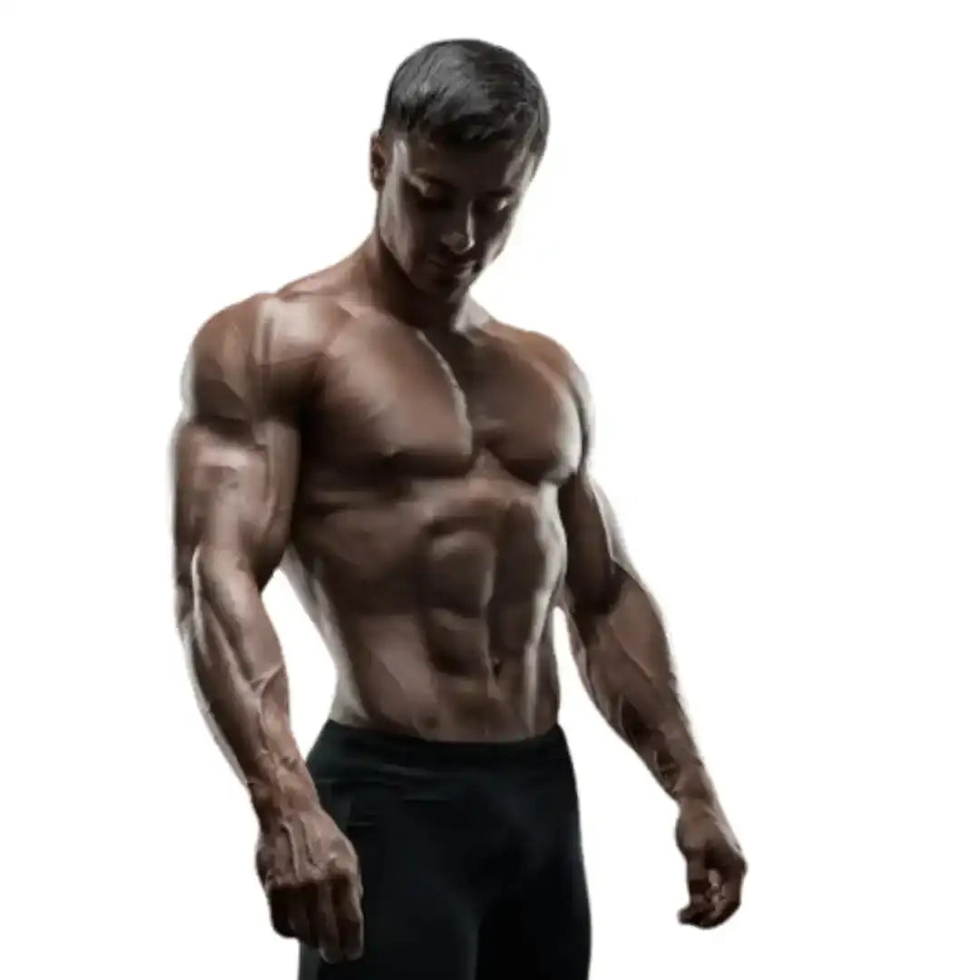 packs seche et definition musculaire first Iron Systems