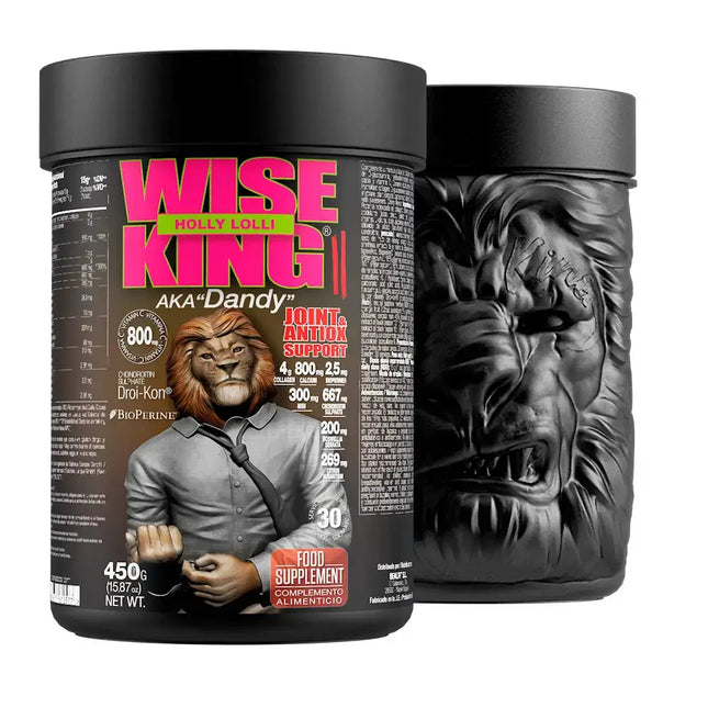 Deux conteneurs noirs de Wise King Wise King II 450g supplément pour articulations avec amino acids et creatine